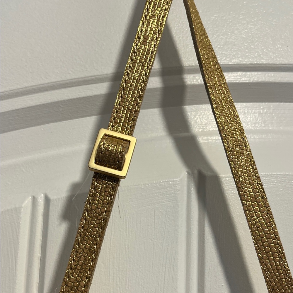 Hammitt Metallic Gold Crossbody Bag - Picture 3 of 8